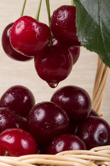 Basket with ripe cherry