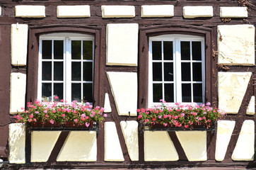 Traditional French houses in Colmar