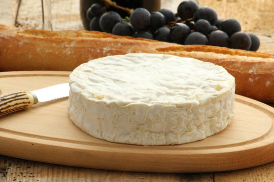 camembert