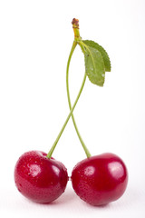 Sour cherries isolated on white