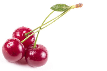 Sour cherries isolated on white
