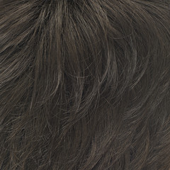 Hair fragment as a background composition