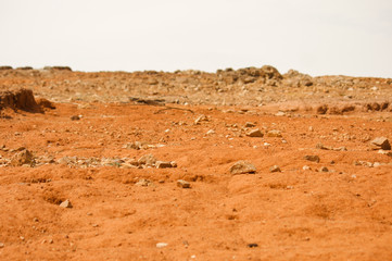 Deat Nature in Australia