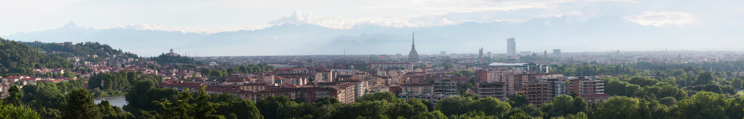 Fototapeta na wymiar Torino Panoramica