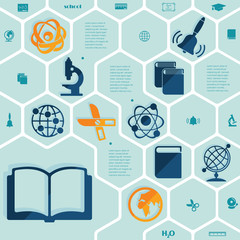 Education flat infographic