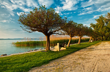 Lake balaton at summer, Hungary