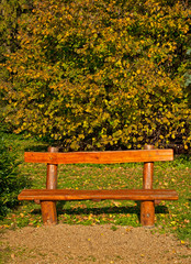 Naklejka premium Park in the city in autumn