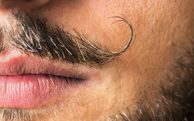 Mustache macro shot.