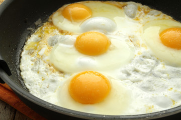 oeufs 