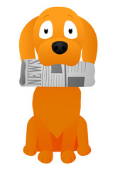 puppy brings a newspaper in his mouth