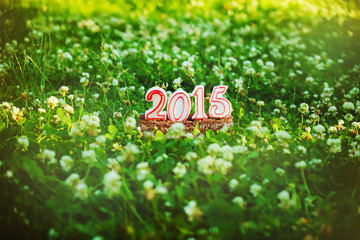 Happy New 2015 years on the green grass in summer park.