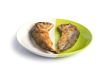 fried fish on white and green plate.