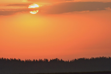 Obraz premium Рассвет в поле