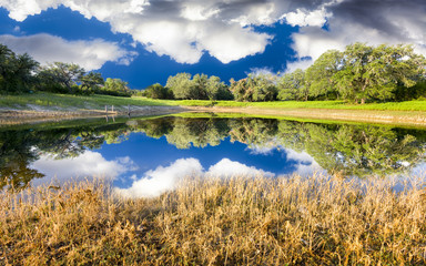 Rural Pond with Reflections