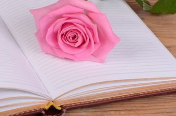The rose on the book close-up