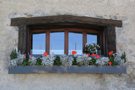 Blumenfenster
