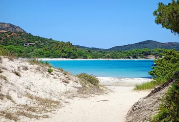 Poster Palombaggia strand, Corsica Plage de rêve et mer turquoise