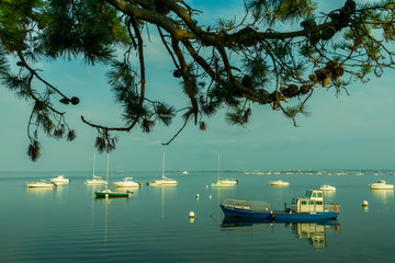 Bassin d'Arcachon