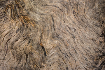 Wood Grunge Background