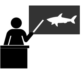 Apprendre les requins à l'école