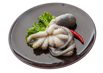 Raw octopus