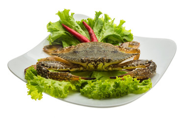 Raw crab