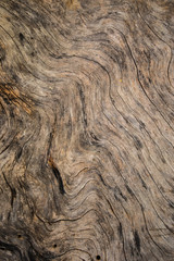 Wood Grunge Background