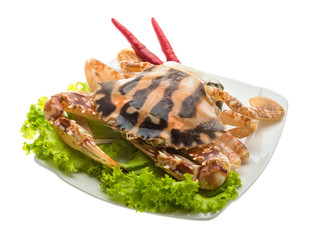 Red crab