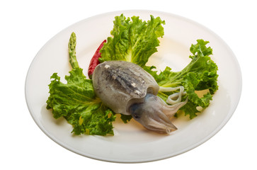 Raw cuttlefish