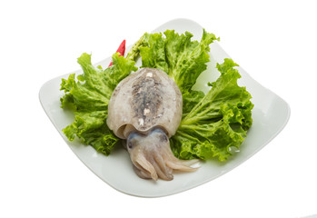 Raw cuttlefish