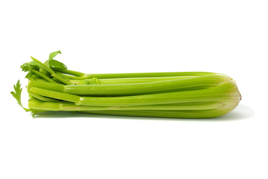 Celery on White