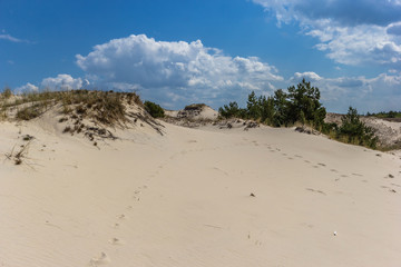 Moving dunes on the Baltic Sea in Poland