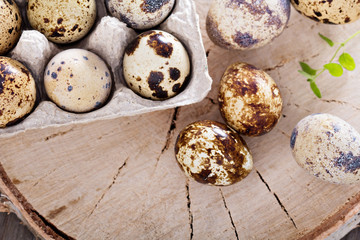 Raw quail eggs on wooden background