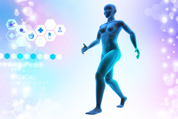 woman female human body