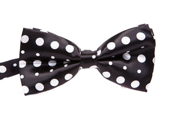 black bow tie with white polka dots