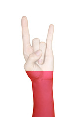 Hand covered in flag of Poland