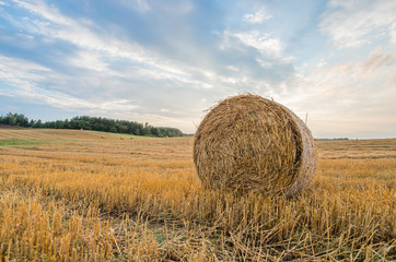 Bale of straw