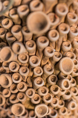 peculiar clay background.