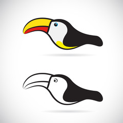 Vector images of hornbills