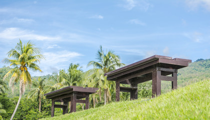 brown wooden bench at a green lake