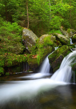 Mountain creek in the national park Sumava-Czech Republic