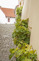 Rendezvous at the Castle