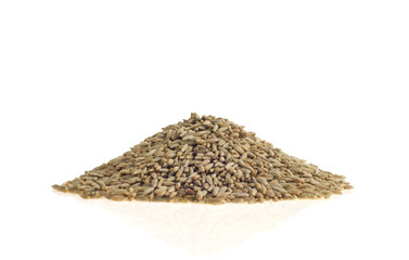 Rye grains on white background