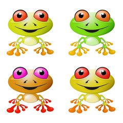 Obraz premium Red-eyed Tree Frog Vector Illustration