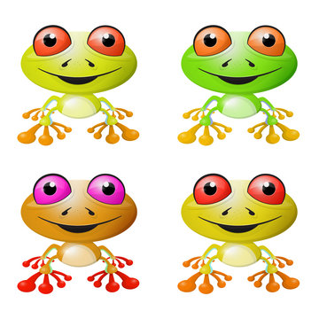 Red-eyed Tree Frog Vector Illustration