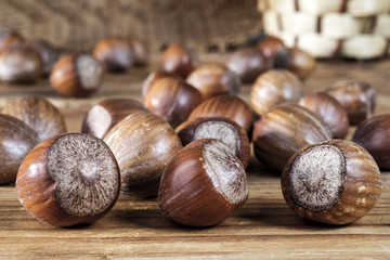Hazelnuts