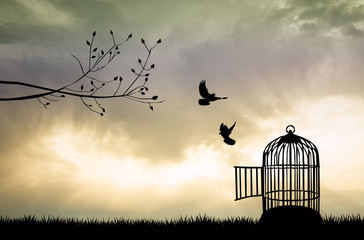 Cage for bird at sunset - obrazy, fototapety, plakaty