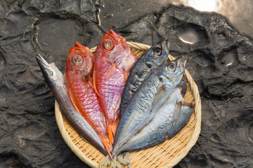 近海魚の干物
