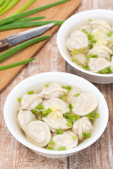 Chinese dumplings in chicken broth, vertical