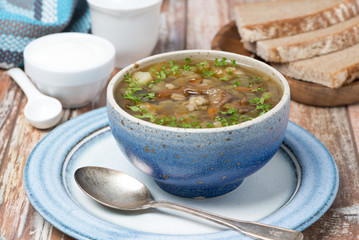 Mushroom soup with pearl barley